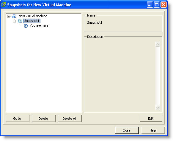 ESXi Multiple Snapshots